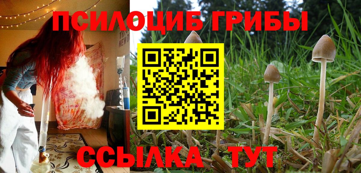 Галлюциногенные грибы MAGIC MUSHROOMS Белгород