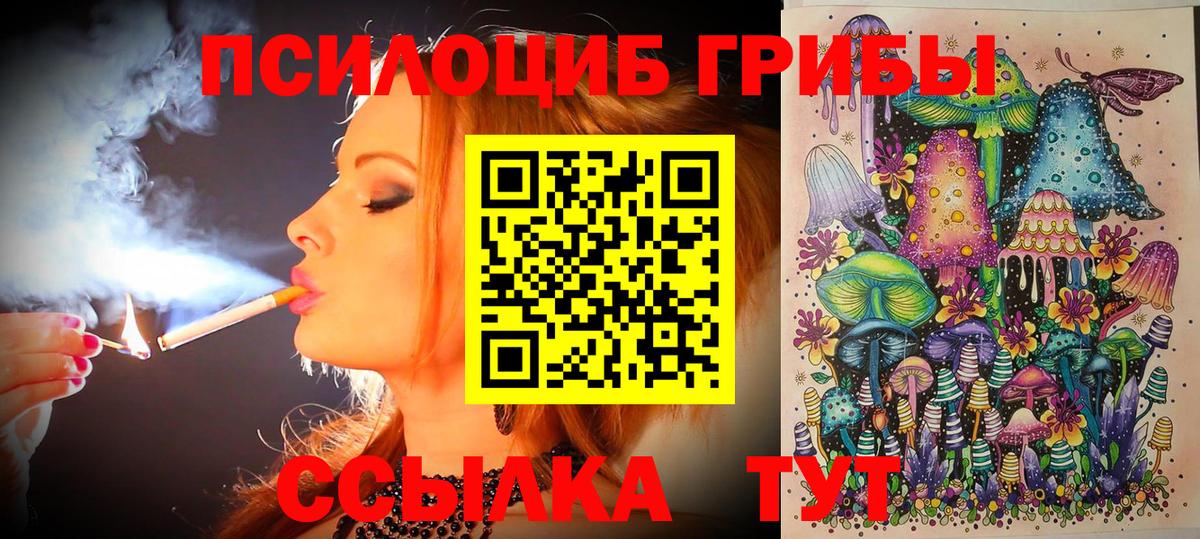 Белгород  Псилоцибиновые грибы MAGIC MUSHROOMS  наркошоп  Вход с VPN  Псилоцибиновые грибы Magic Shrooms 